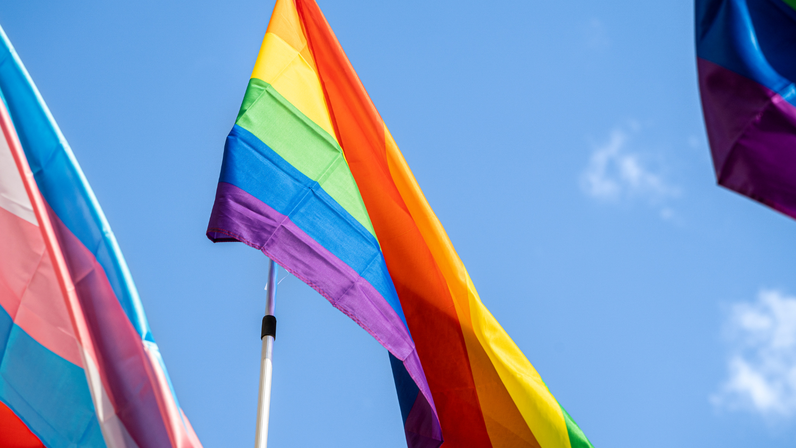 Imagen del artículo El Consejo de Ministros aprueba las primeras estrategias estatales LGTBI y trans
