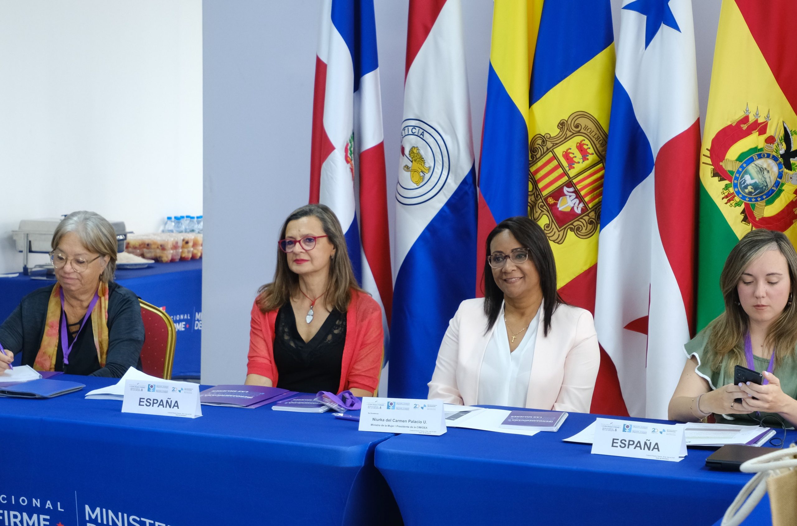 Imagen del artículo La delegada del Gobierno contra la Violencia de Género, Carmen Martínez Perza, preside el VI Consejo Intergubernamental de la Iniciativa Iberoamericana para Prevenir y Eliminar la Violencia contra las Mujeres